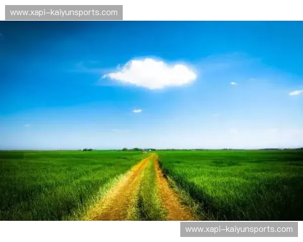 明尼苏达联vs堪萨斯：风暴与草原的激情碰撞，谁将主宰这片绿茵场？